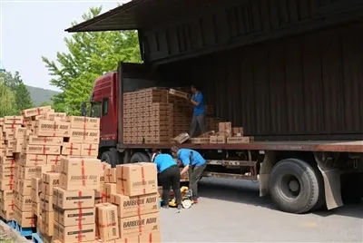 Yttrium Oxide Ceramics: The Scavenger of Microelectronics Manufacturing